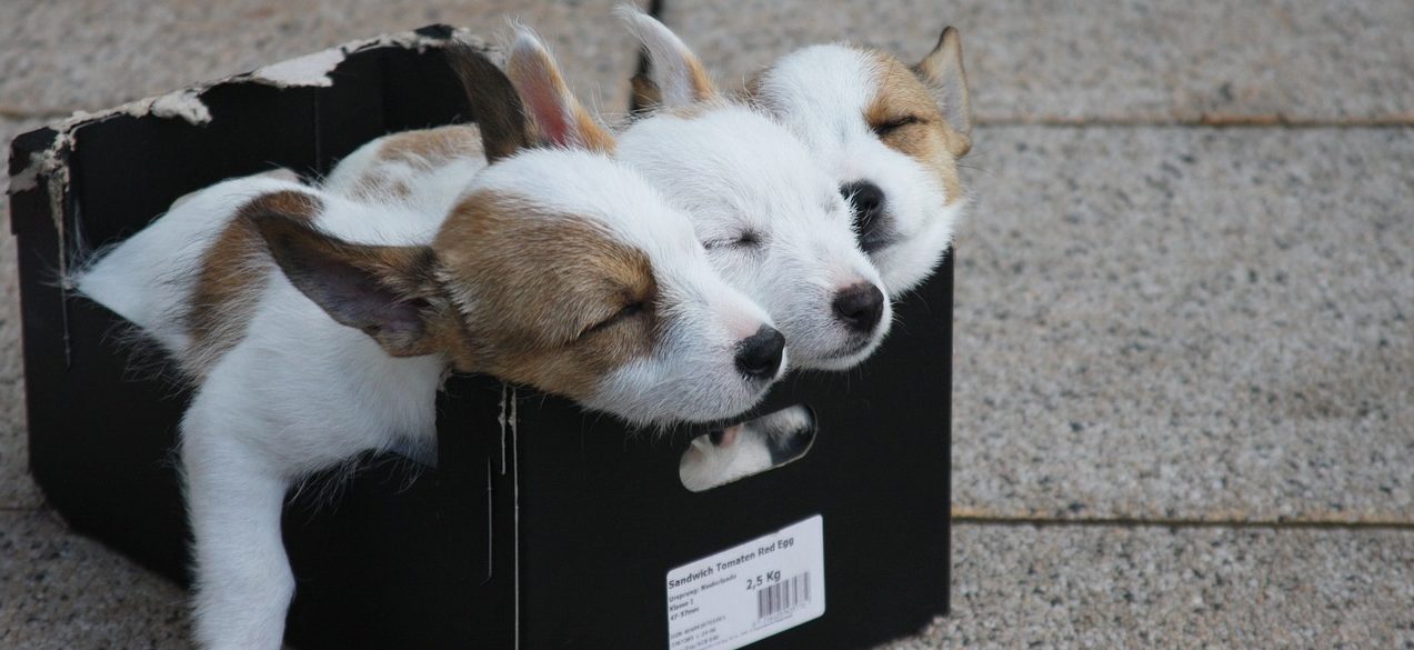 Genug schlafen sonst stillstand auif der waage