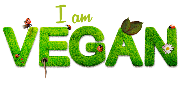 vegan-1091086_640